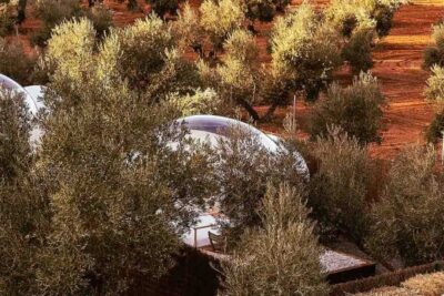 Sin titulo 21 600x800 1